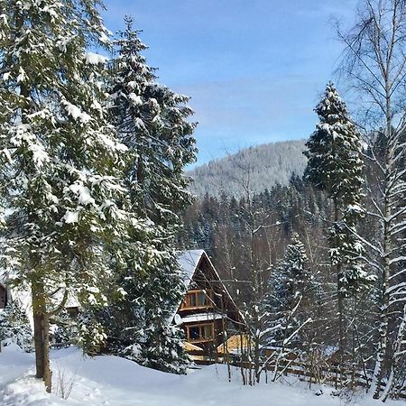 Winterfell Korbielow - Dom Z Basenem Sezonowym Lipiec-Sierpien Luaran gambar