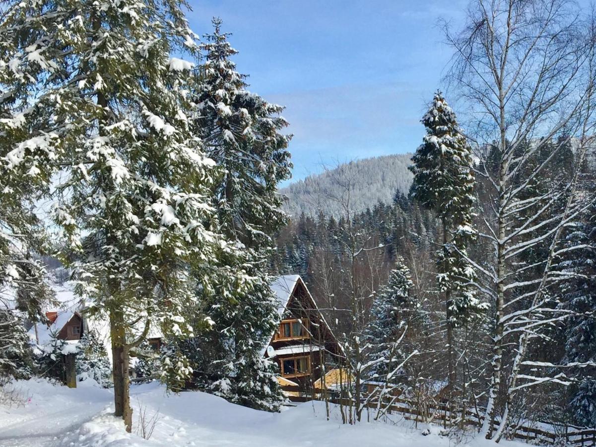 Winterfell Korbielow - Dom Z Basenem Sezonowym Lipiec-Sierpien Luaran gambar