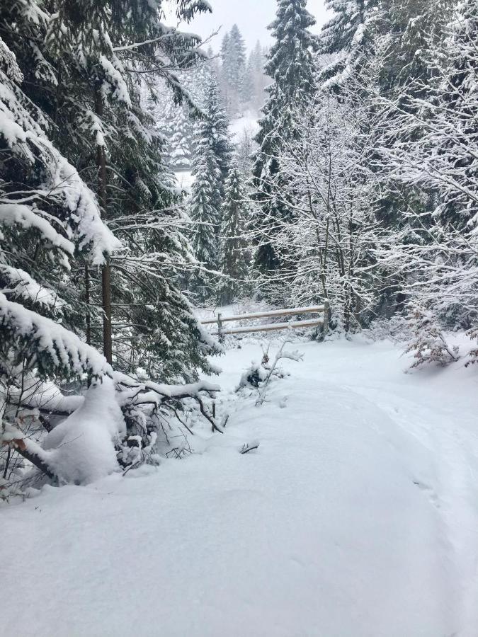 Winterfell Korbielow - Dom Z Basenem Sezonowym Lipiec-Sierpien Luaran gambar
